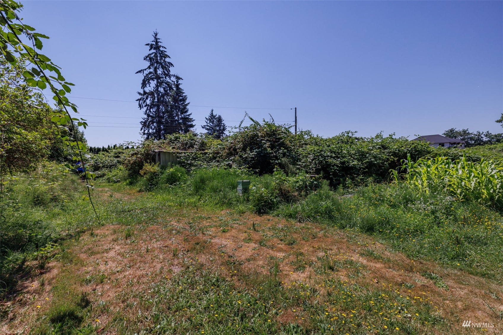 Image 17 of 26 For 7216 Orting Highway E