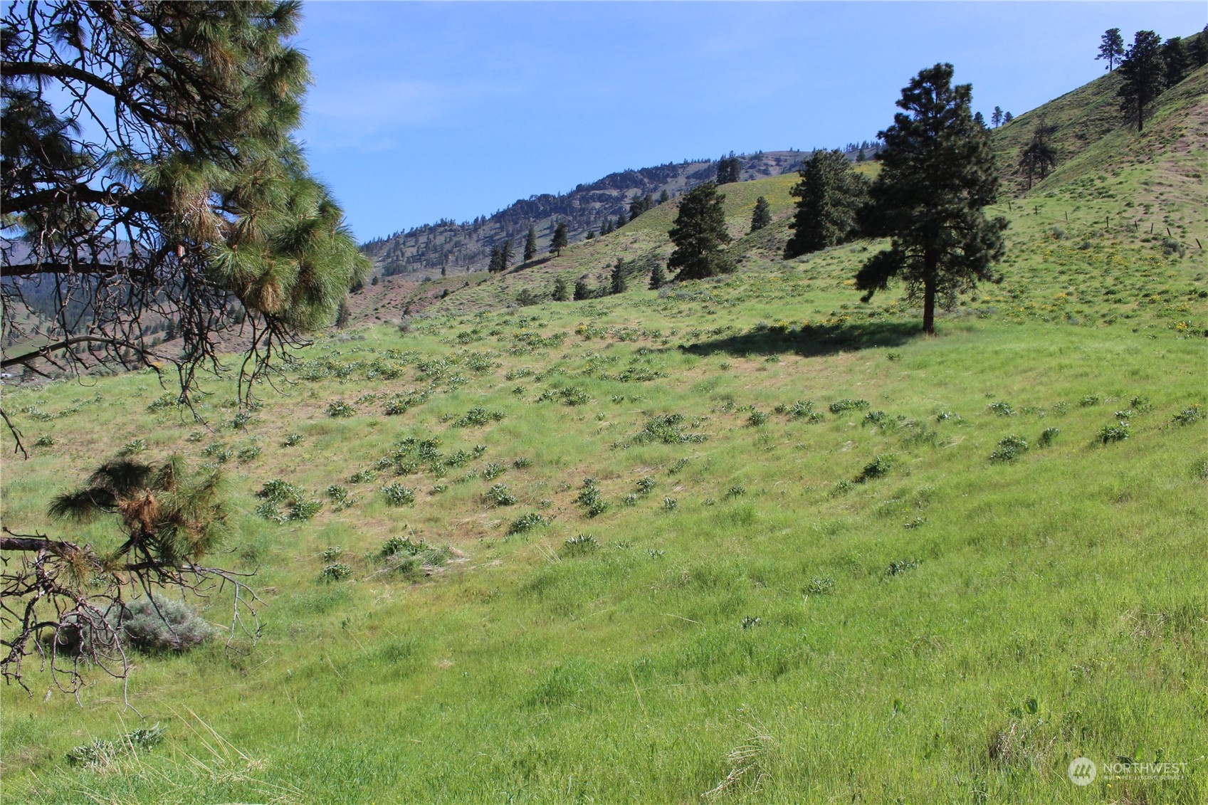 Image 6 of 12 For 0 Nna Nahahum Canyon Road