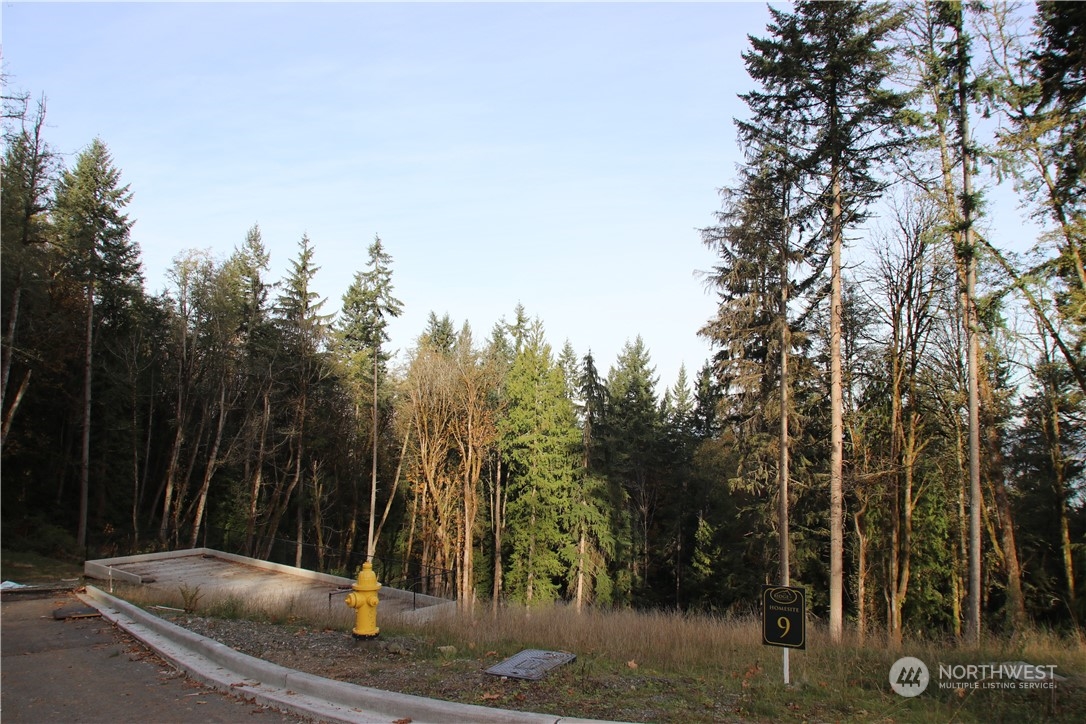 Details for 17760 62nd Place Lot 9, Bellevue, WA 98006