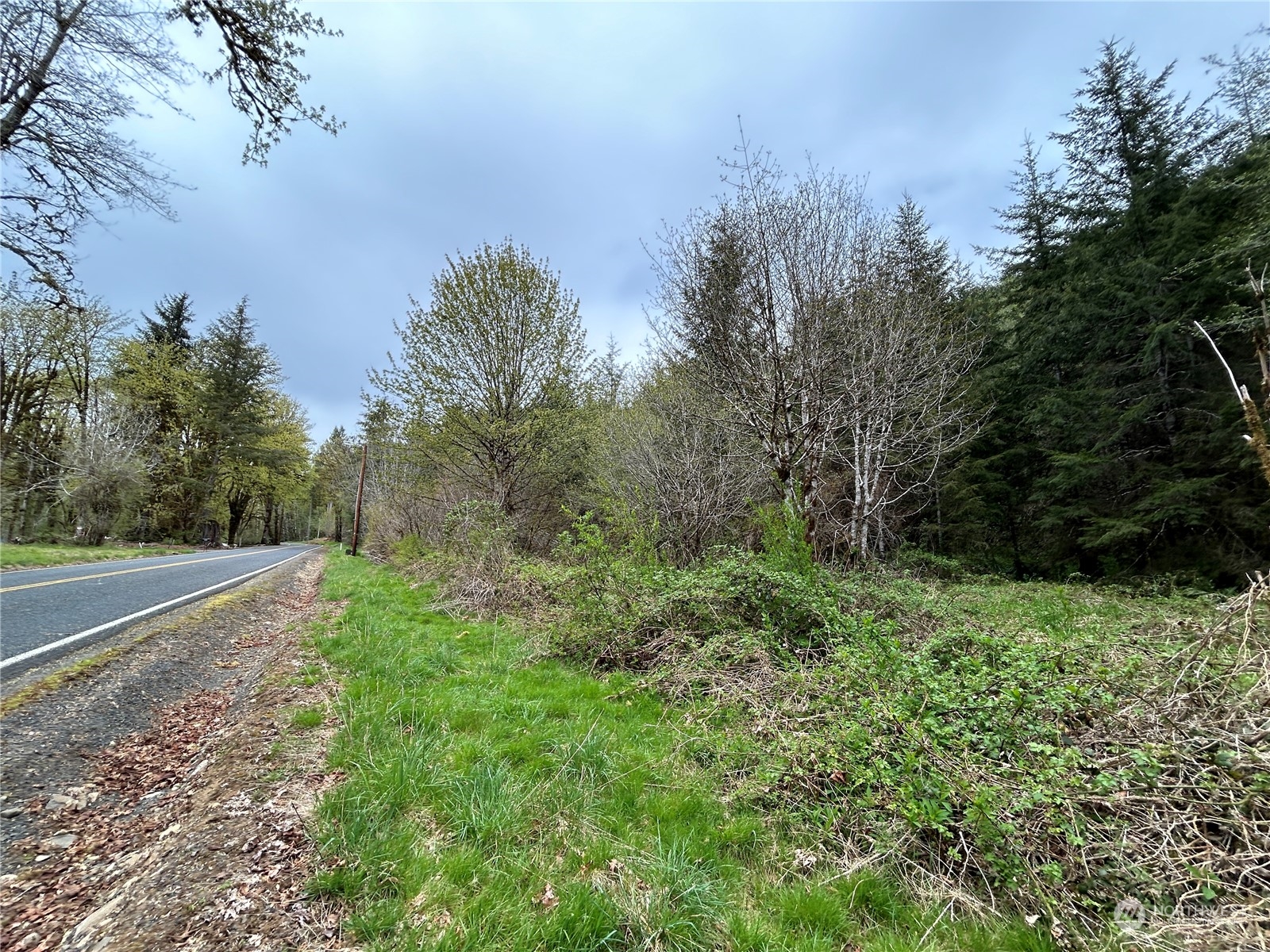 Details for 0 Lot 4 Abernathy Creek Road, Longview, WA 98632