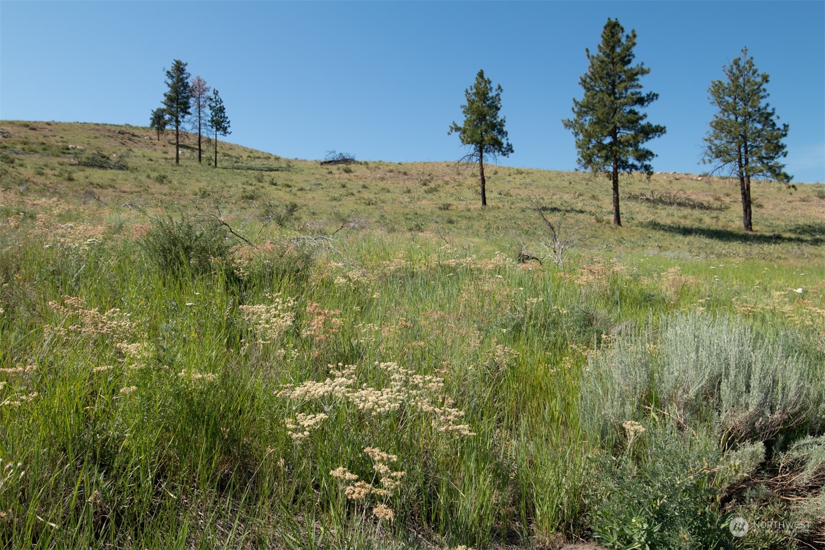 Details for 0 Sawtooth View Road, Methow, WA 98846