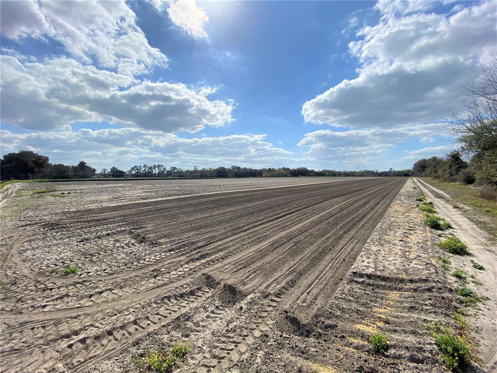 Image 9 of 17 For 24103 County Road 239