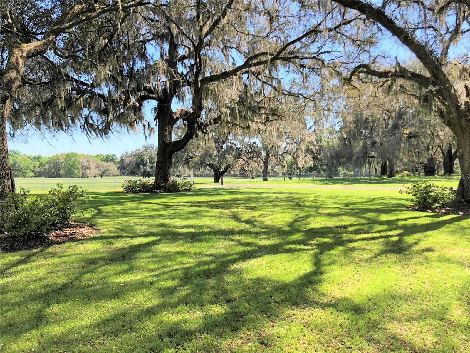 Image 74 of 93 For 3290 County Road 337