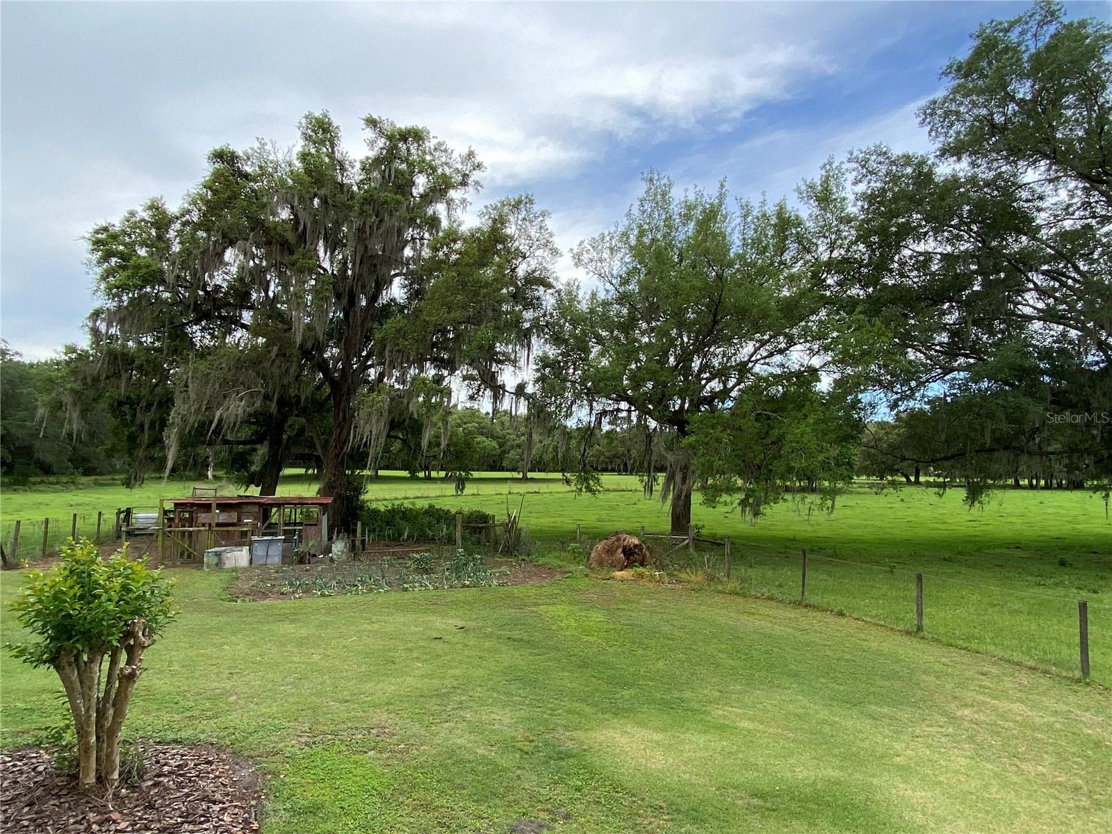 Image 91 of 93 For 3290 County Road 337