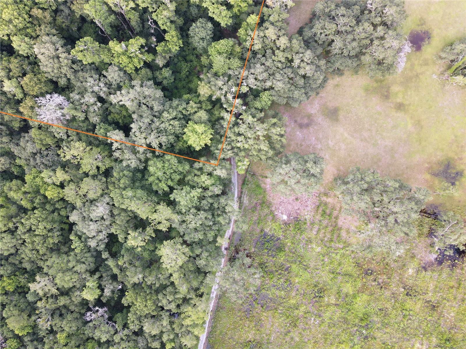 Image 19 of 44 For 15208 Williston Rd