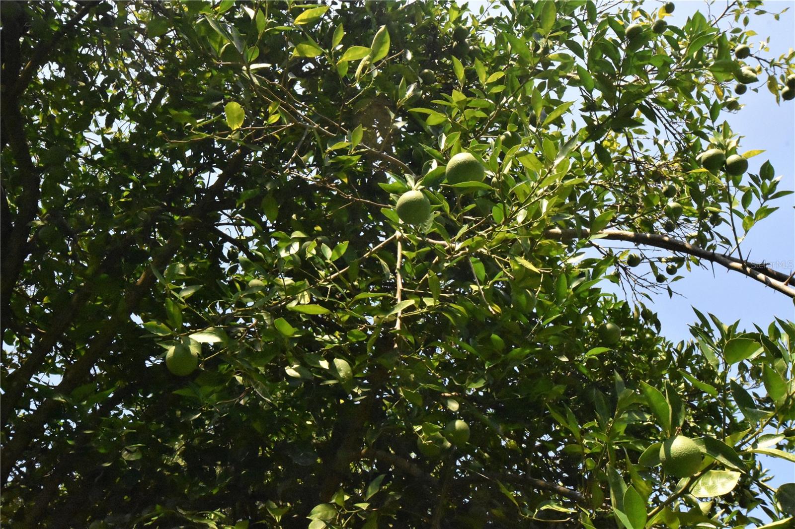 Image 27 of 44 For 15208 Williston Rd