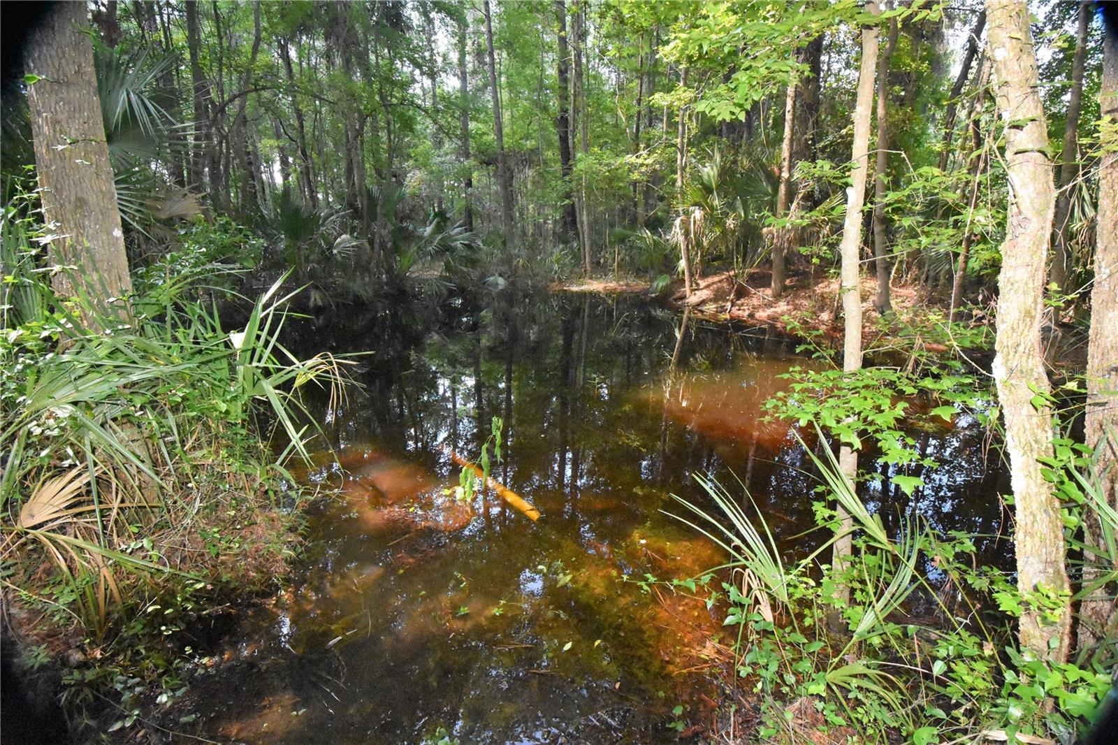 Image 28 of 44 For 15208 Williston Rd