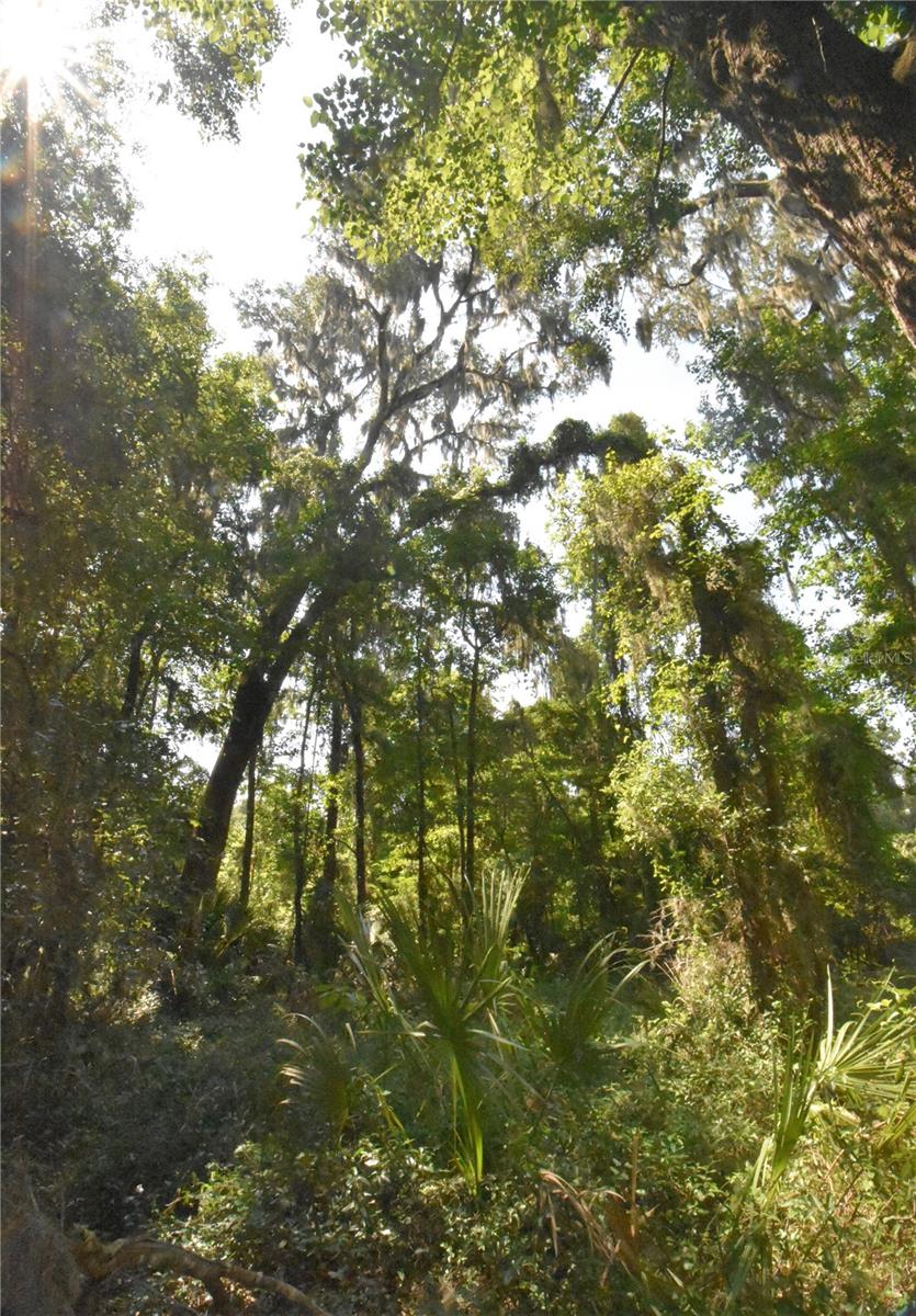 Image 30 of 44 For 15208 Williston Rd