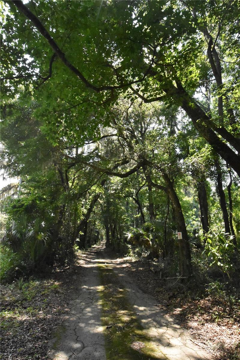 Image 31 of 44 For 15208 Williston Rd