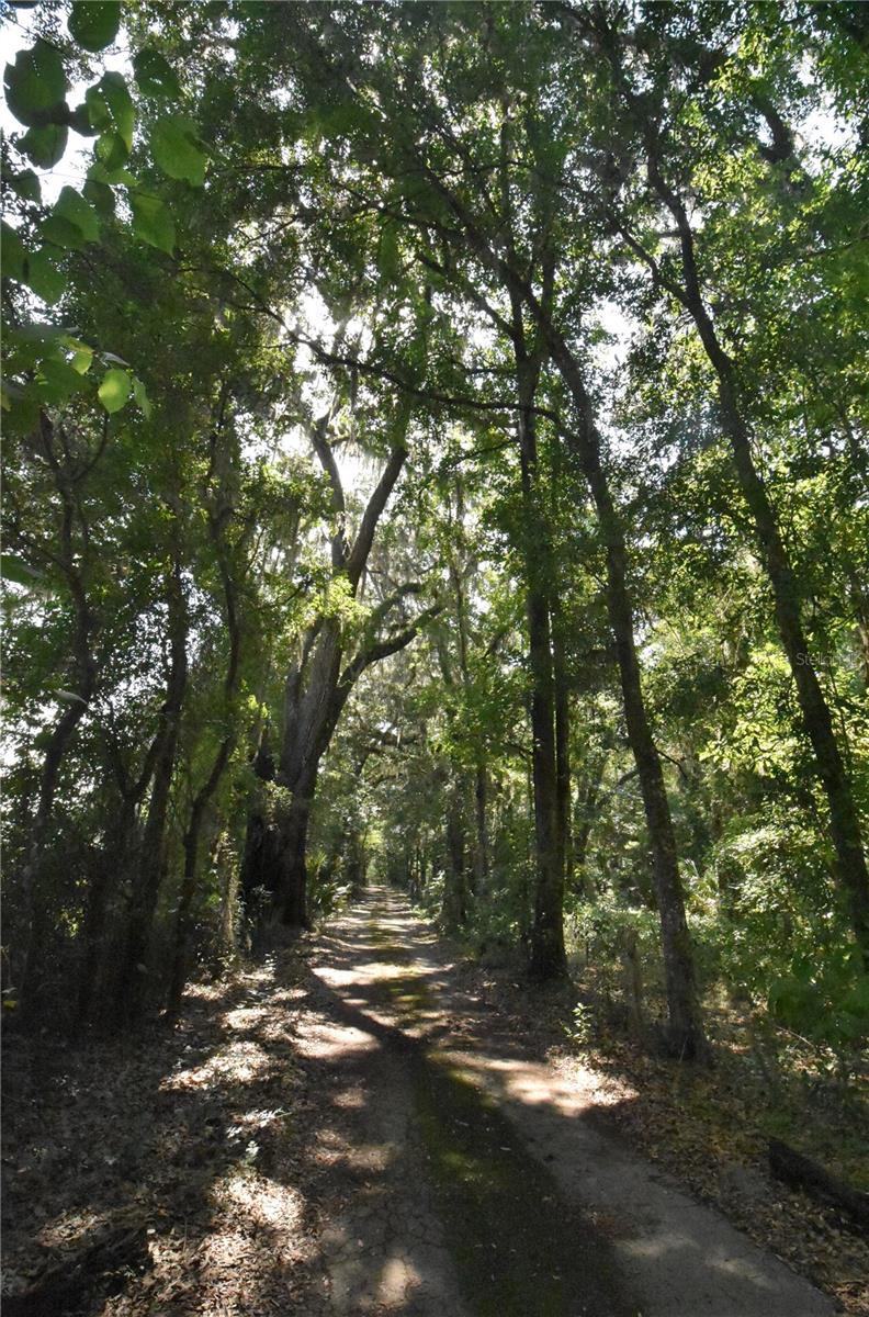 Image 32 of 44 For 15208 Williston Rd