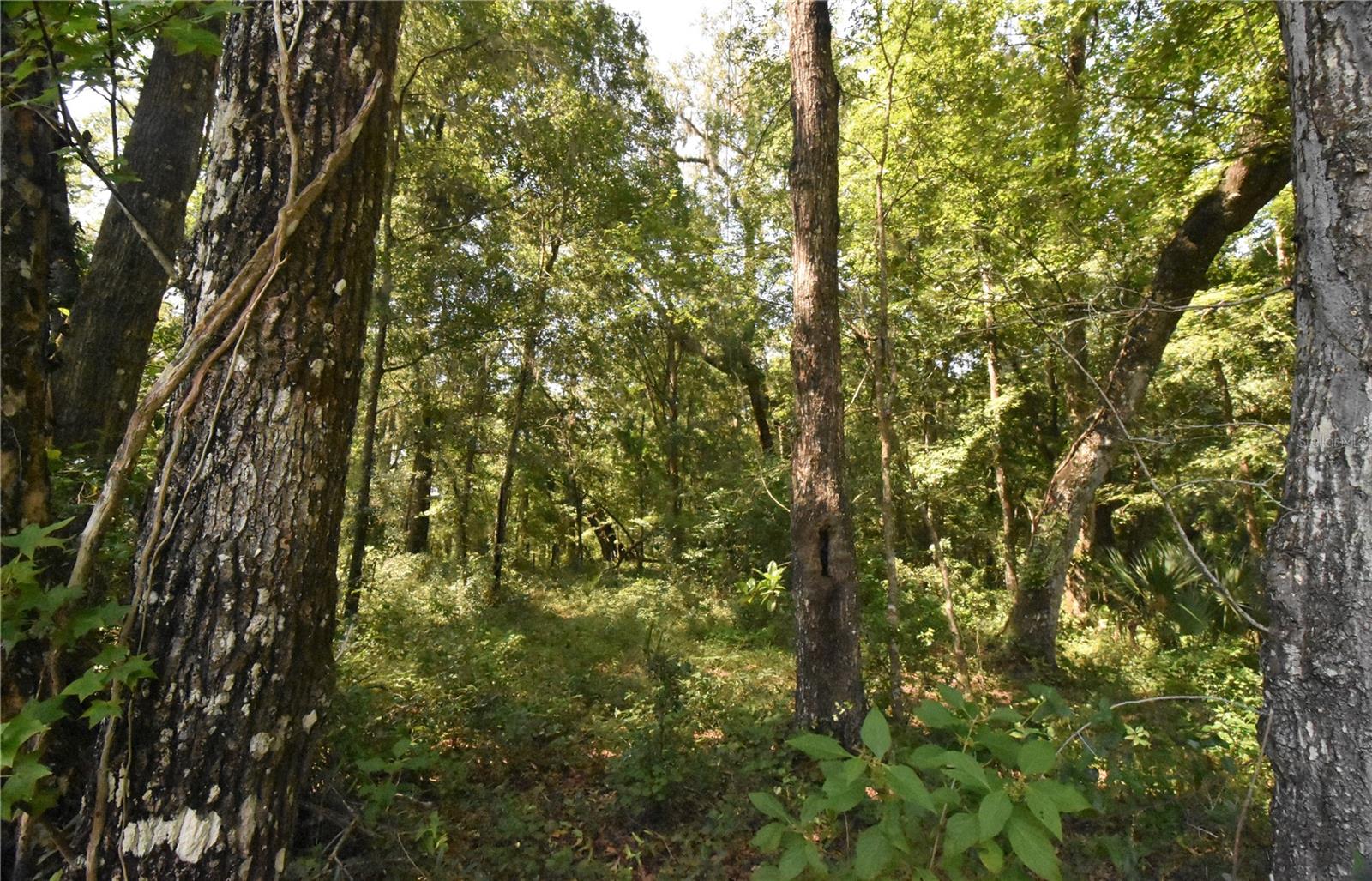 Image 35 of 44 For 15208 Williston Rd