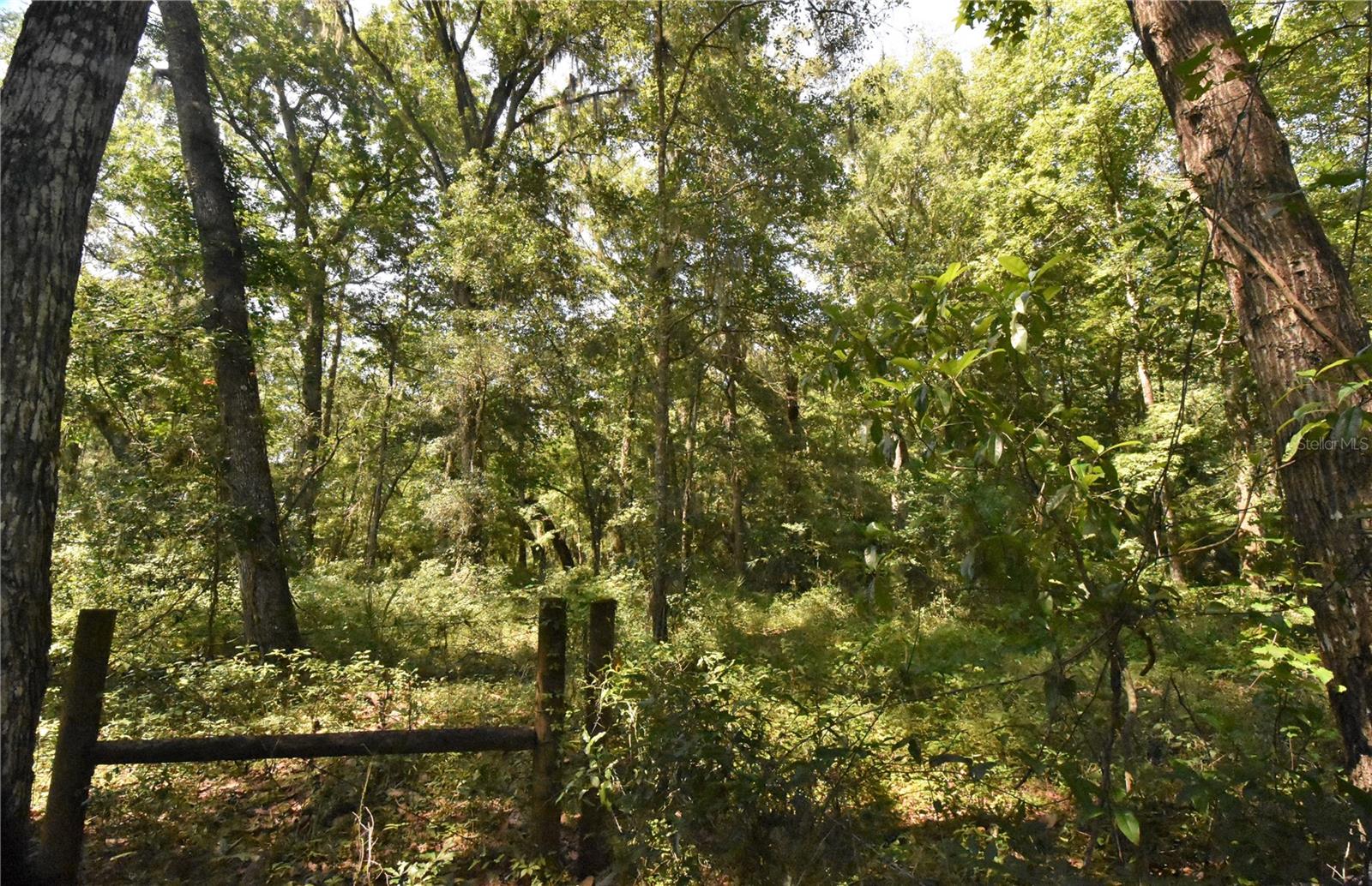 Image 36 of 44 For 15208 Williston Rd