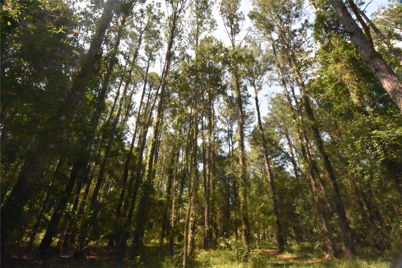 Image 39 of 44 For 15208 Williston Rd