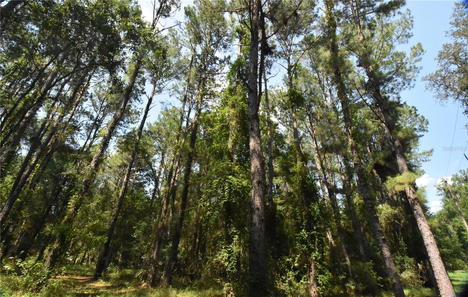 Image 40 of 44 For 15208 Williston Rd