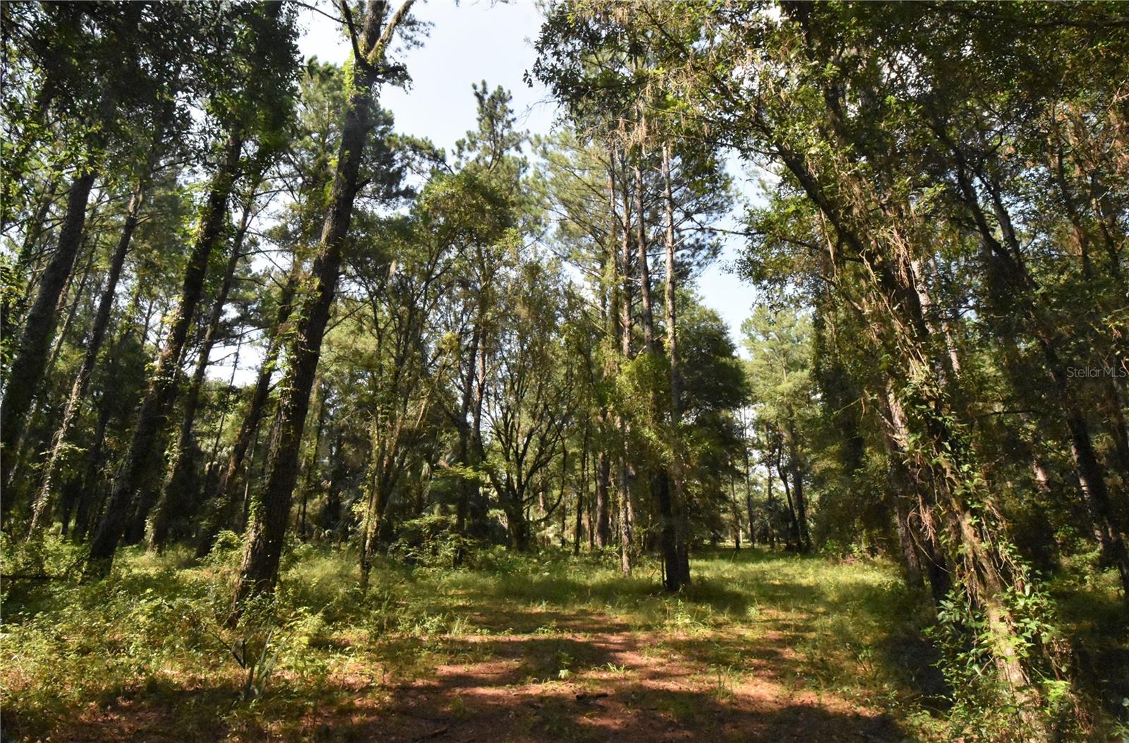 Image 41 of 44 For 15208 Williston Rd