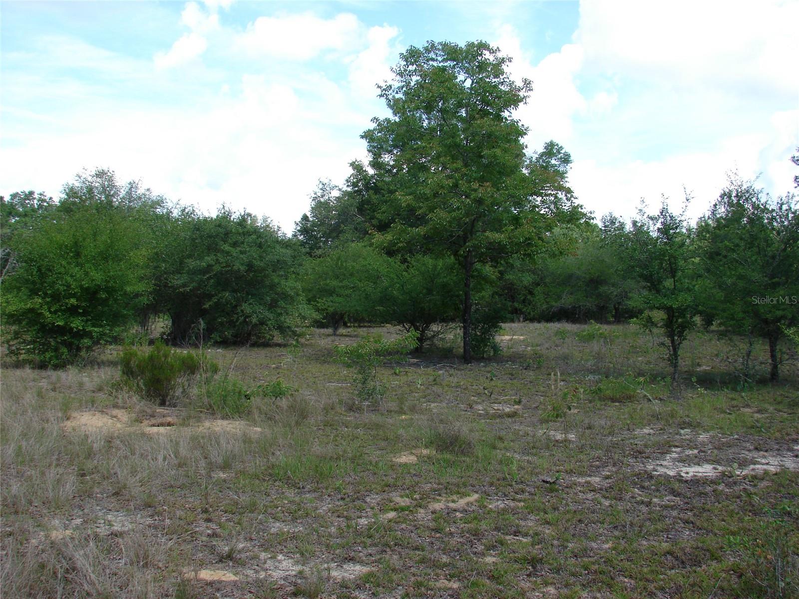 Image 8 of 12 For 0 Chesser Monroe Road