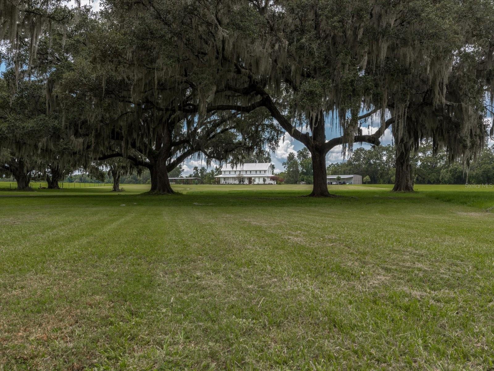 Image 68 of 84 For 7125 County Road 214