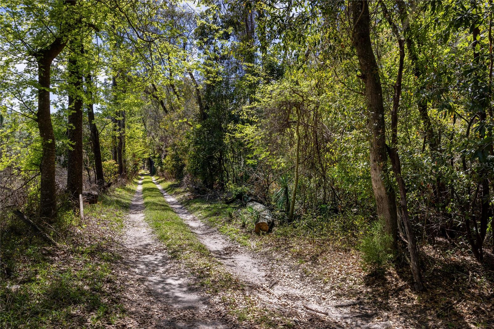 Image 2 of 15 For 253rd Street