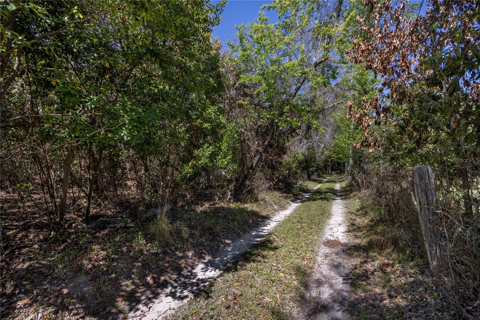 Image 5 of 15 For 253rd Street