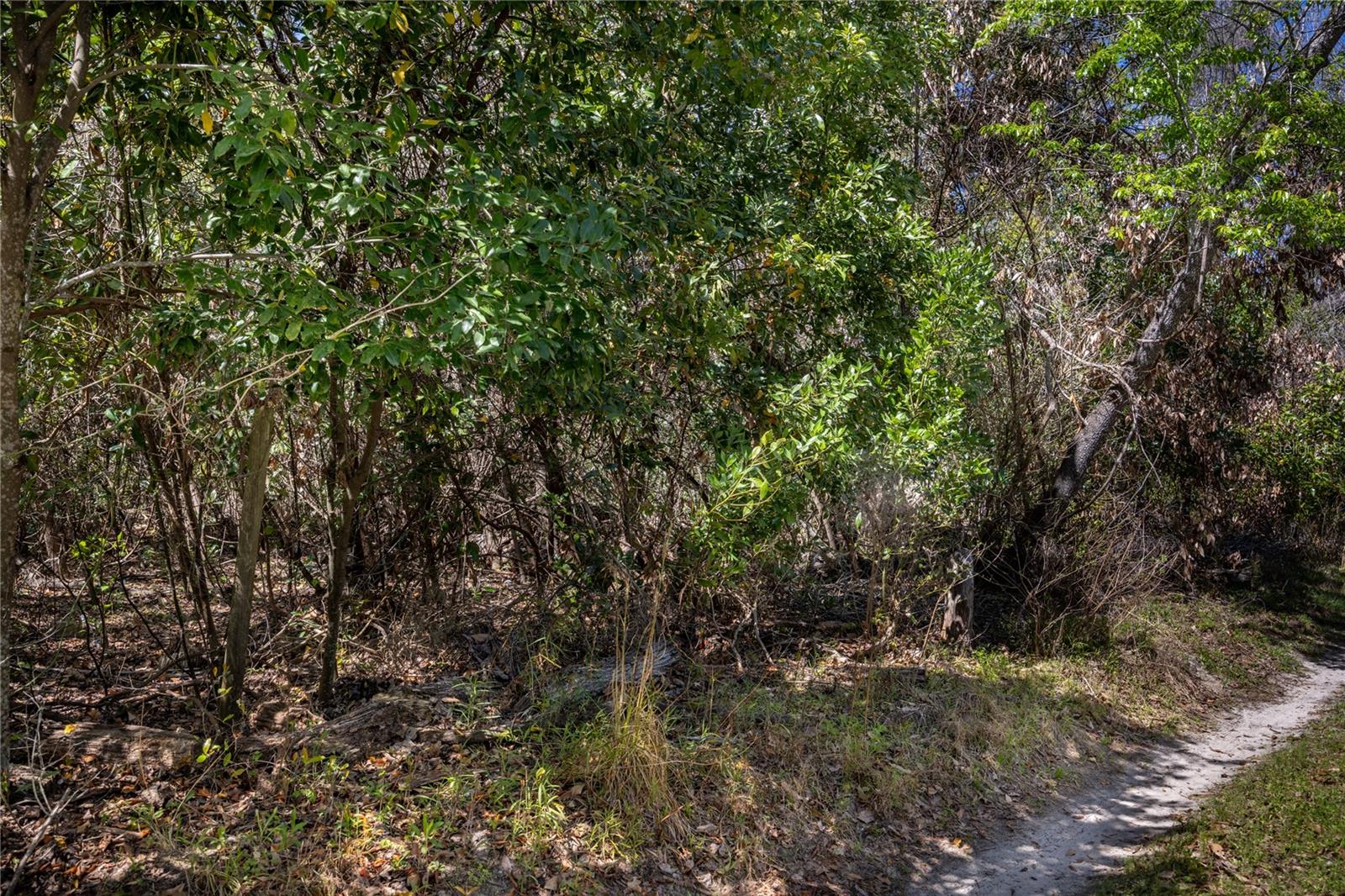 Image 6 of 15 For 253rd Street