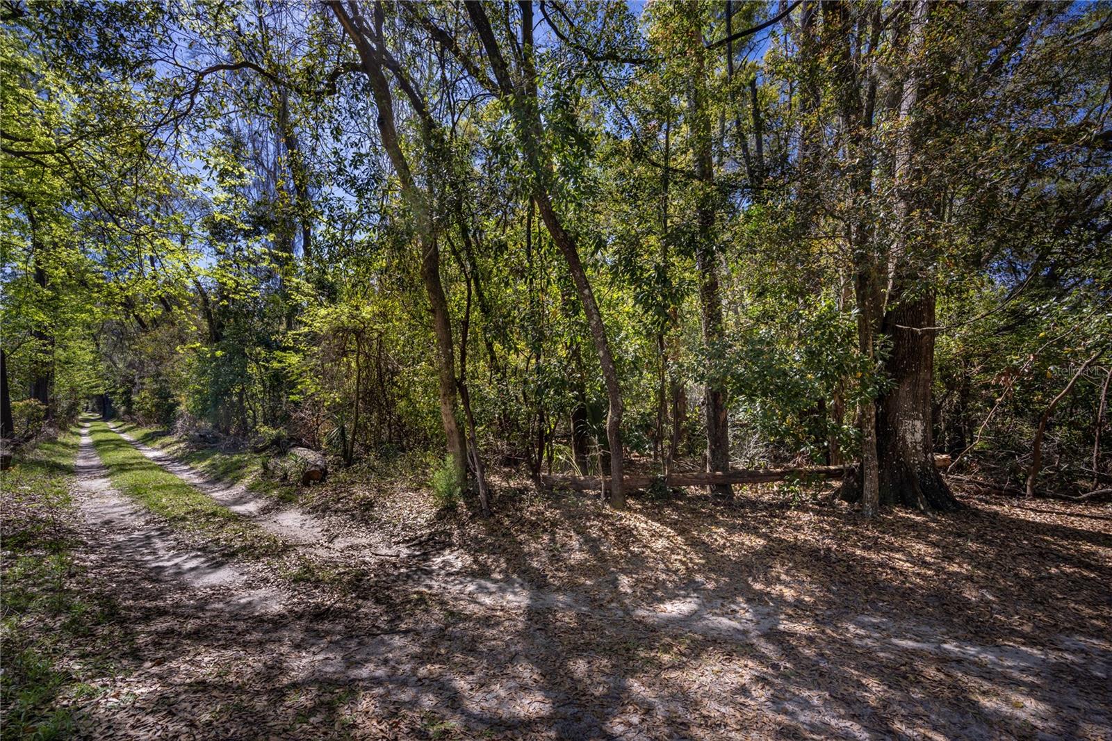 Image 7 of 15 For 253rd Street