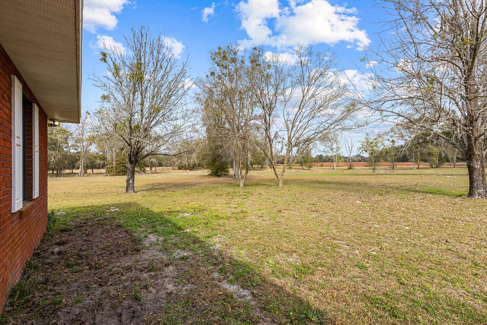 Listing photo id 35 for 12750 County Road 339