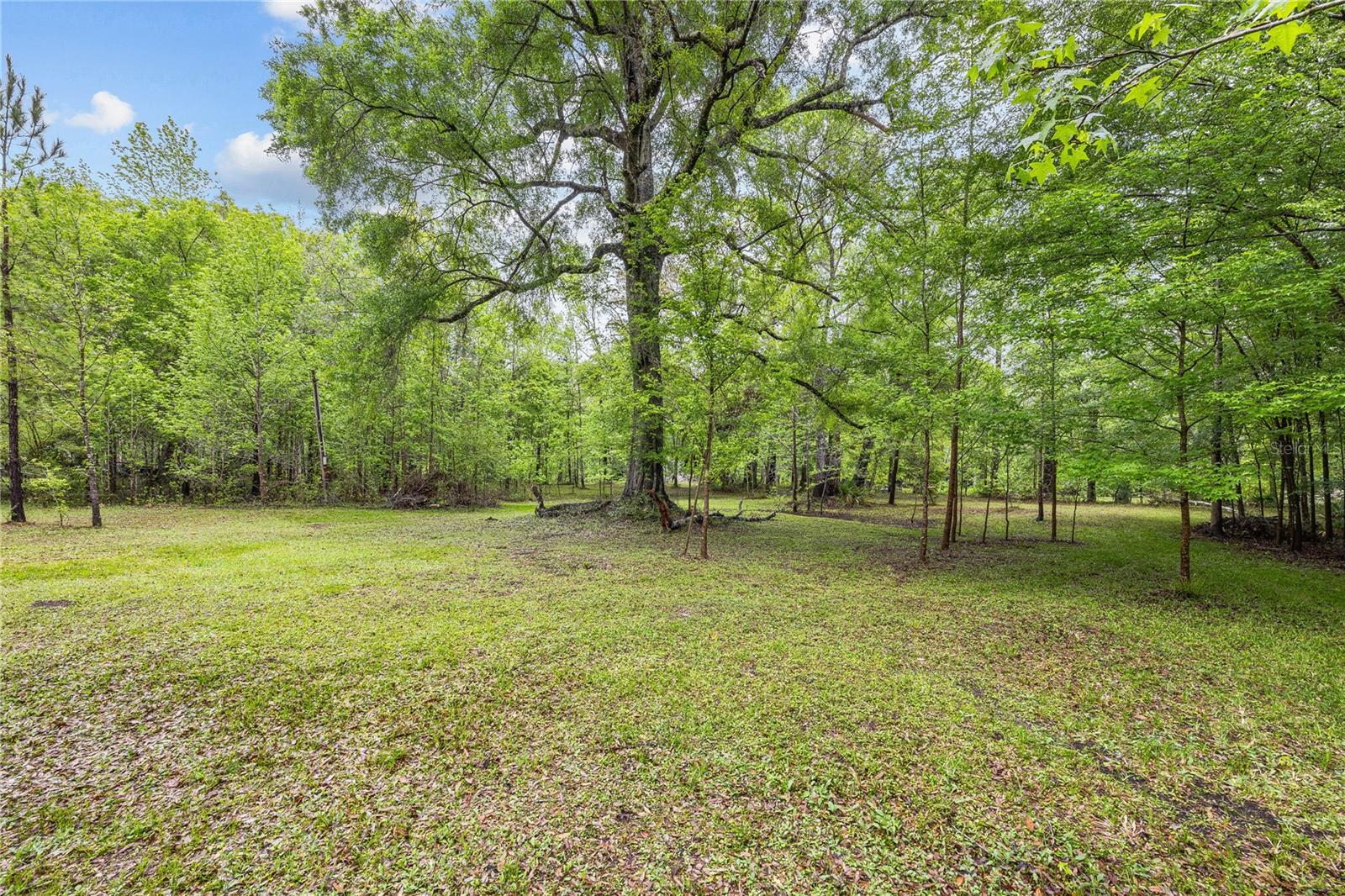 Image 11 of 27 For 00 40 Ct Road