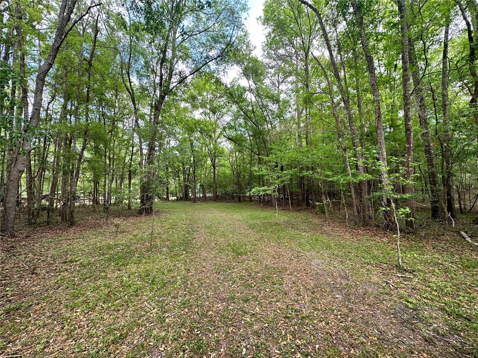 Image 8 of 27 For 00 40 Ct Road