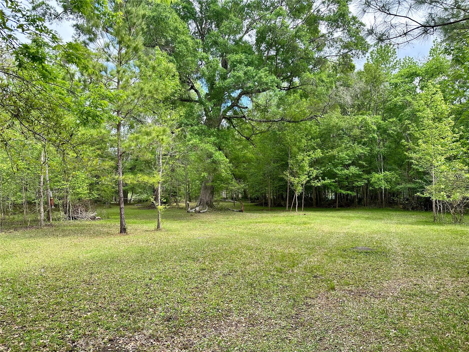 Image 9 of 27 For 00 40 Ct Road