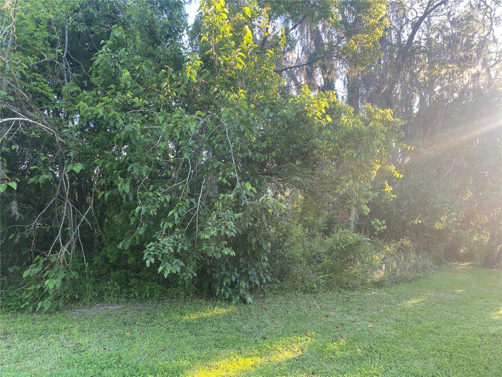 Details for  10th Street  , WILLISTON, FL 32696
