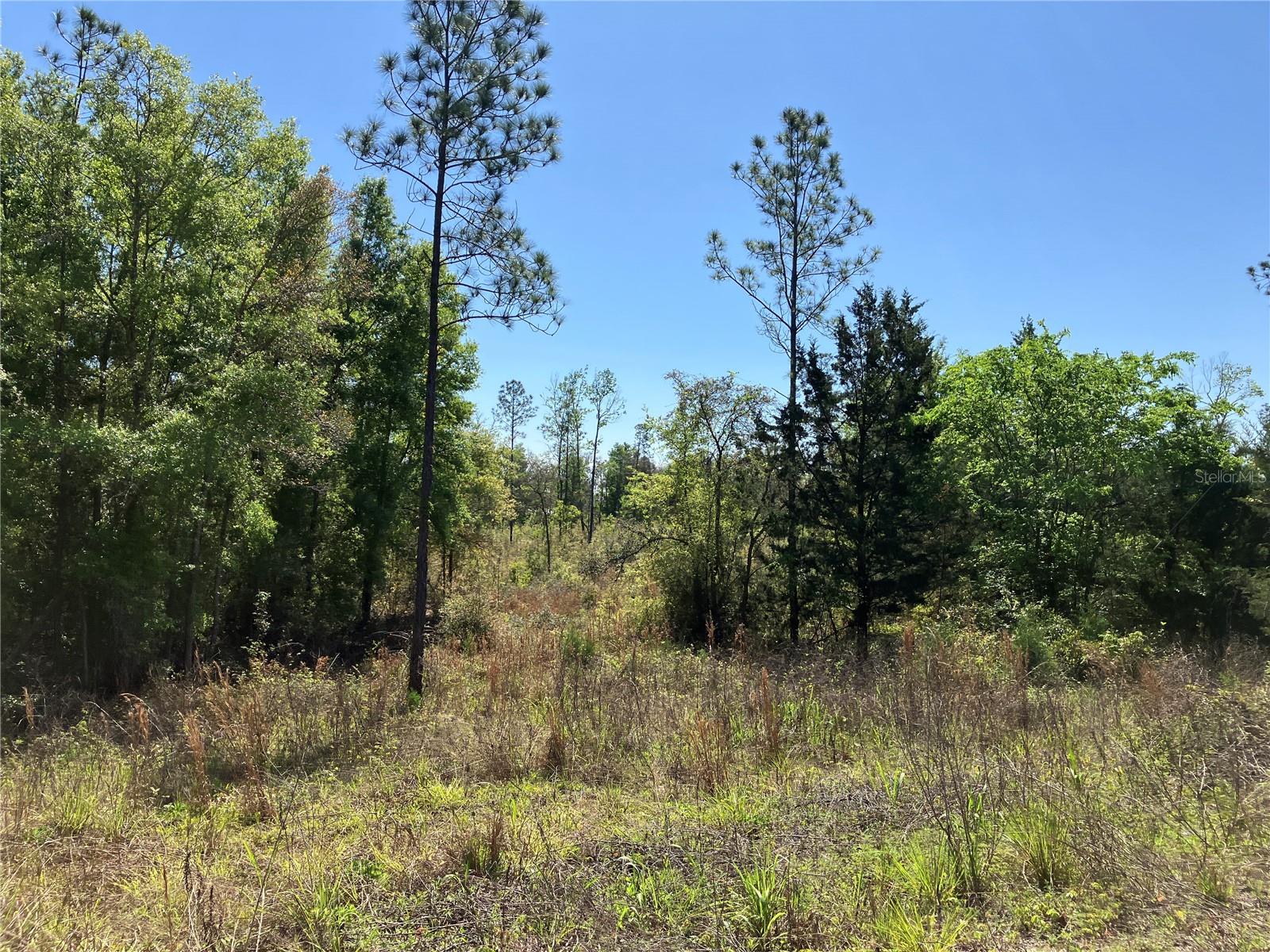 Image 2 of 6 For 5905 298th Street