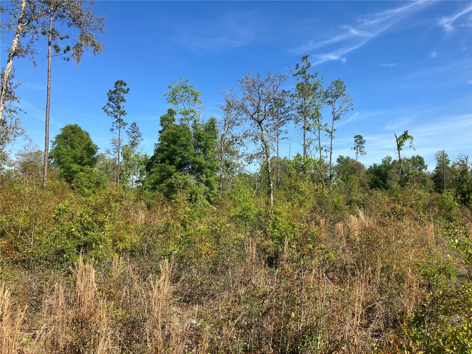Image 4 of 6 For 5905 298th Street