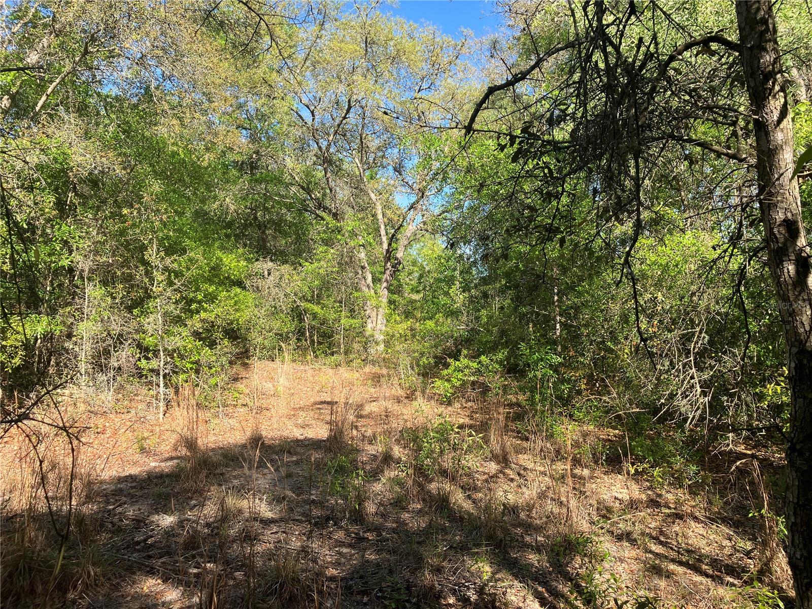 Image 6 of 6 For 5905 298th Street