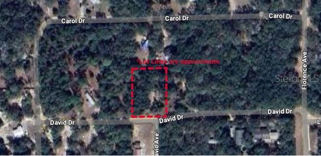 Details for 111 David Drive, INTERLACHEN, FL 32148