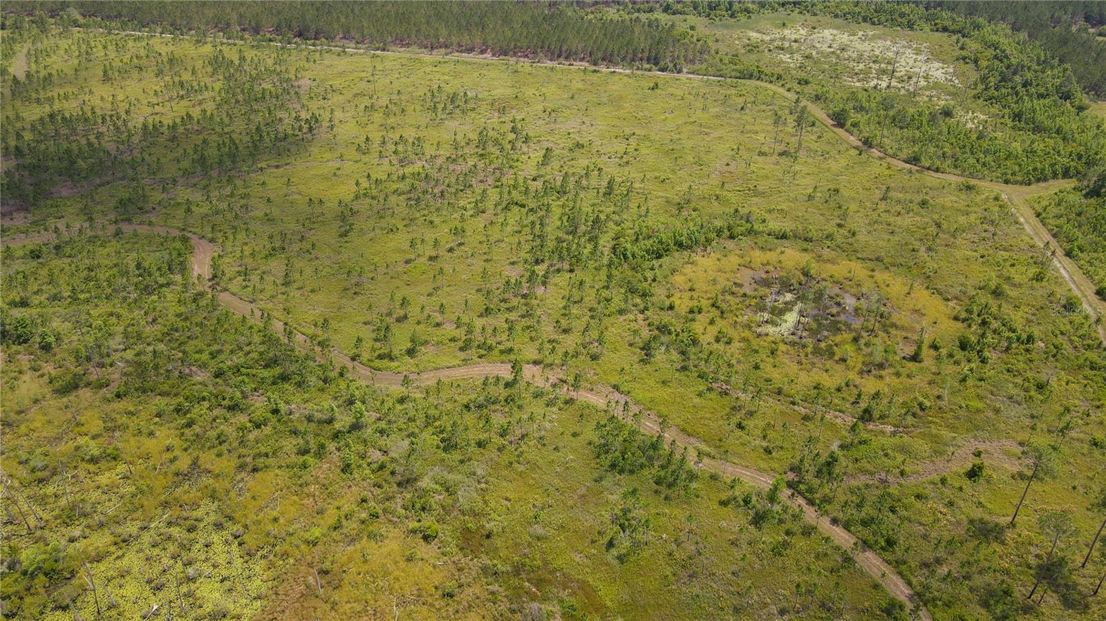 Image 16 of 18 For 0 County Road 225