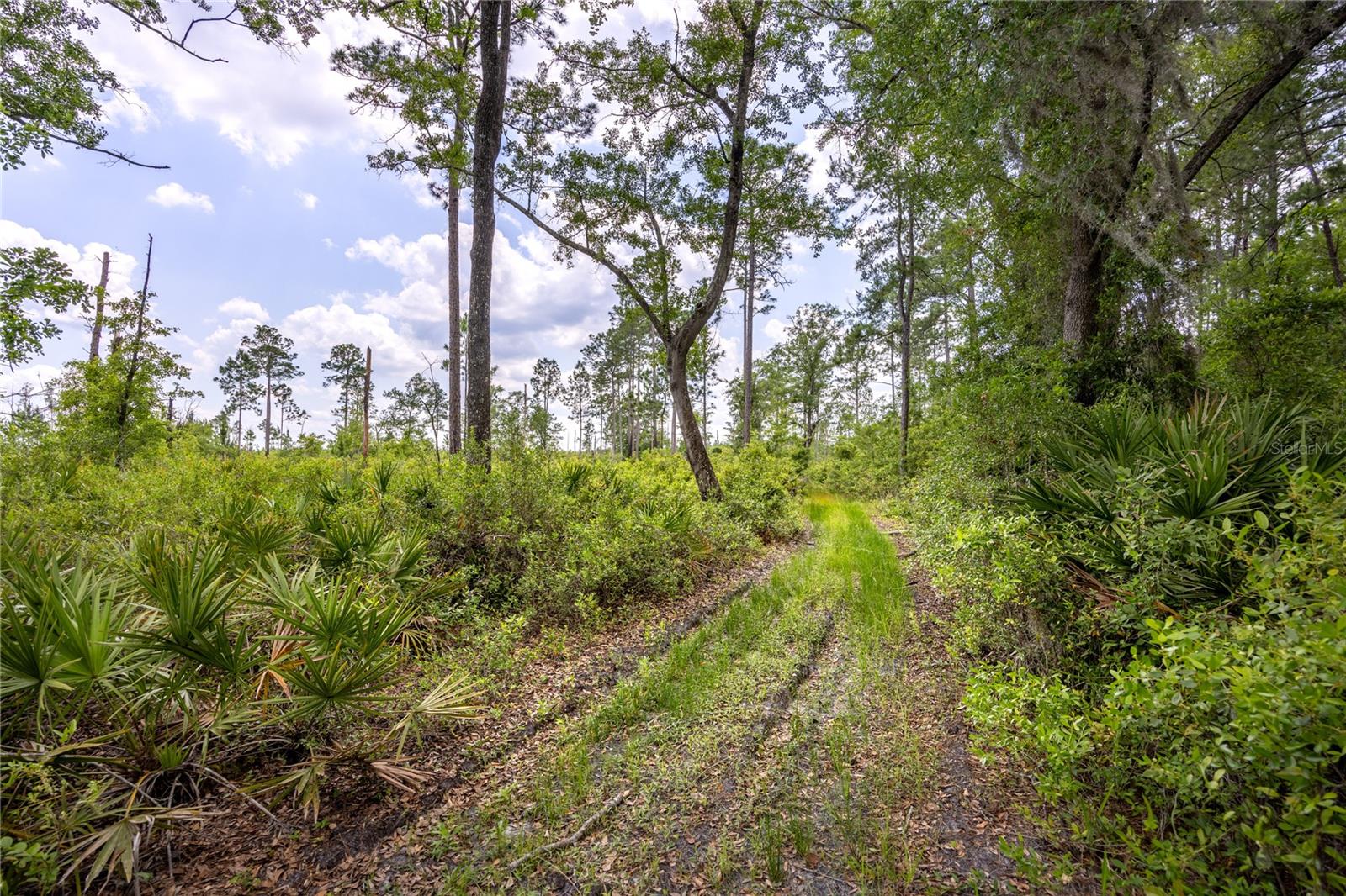 Image 6 of 18 For 0 County Road 225