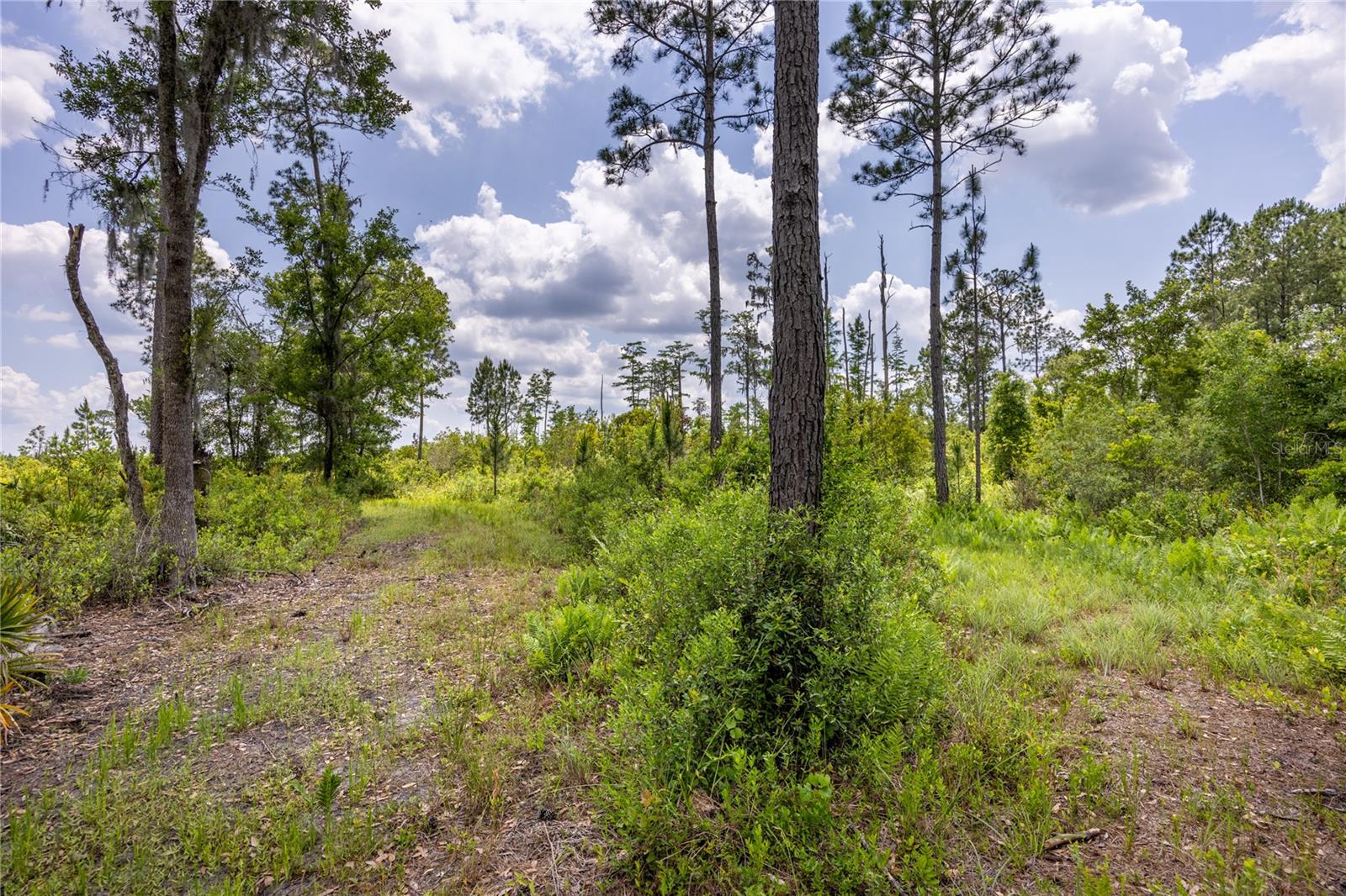 Image 9 of 18 For 0 County Road 225