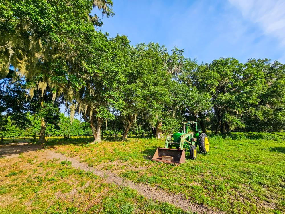 Listing photo id 10 for 65th Avenue Road