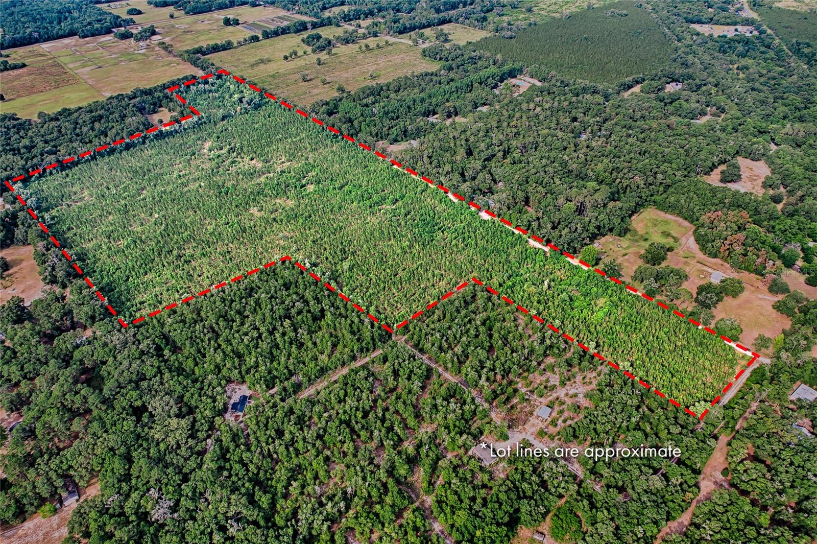 Details for 0 120 Avenue, ARCHER, FL 32618