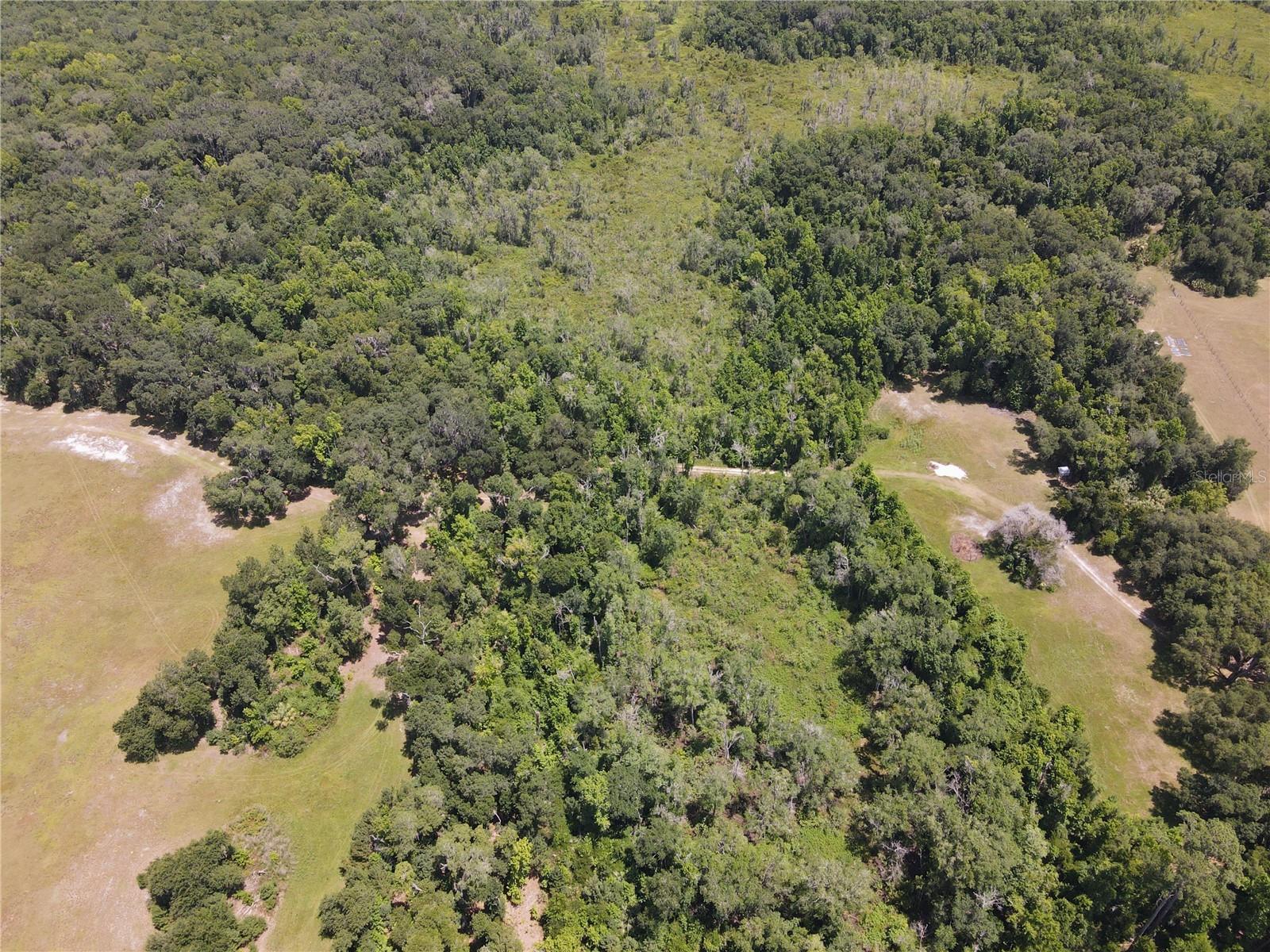 Image 9 of 96 For 11804 County Road 234