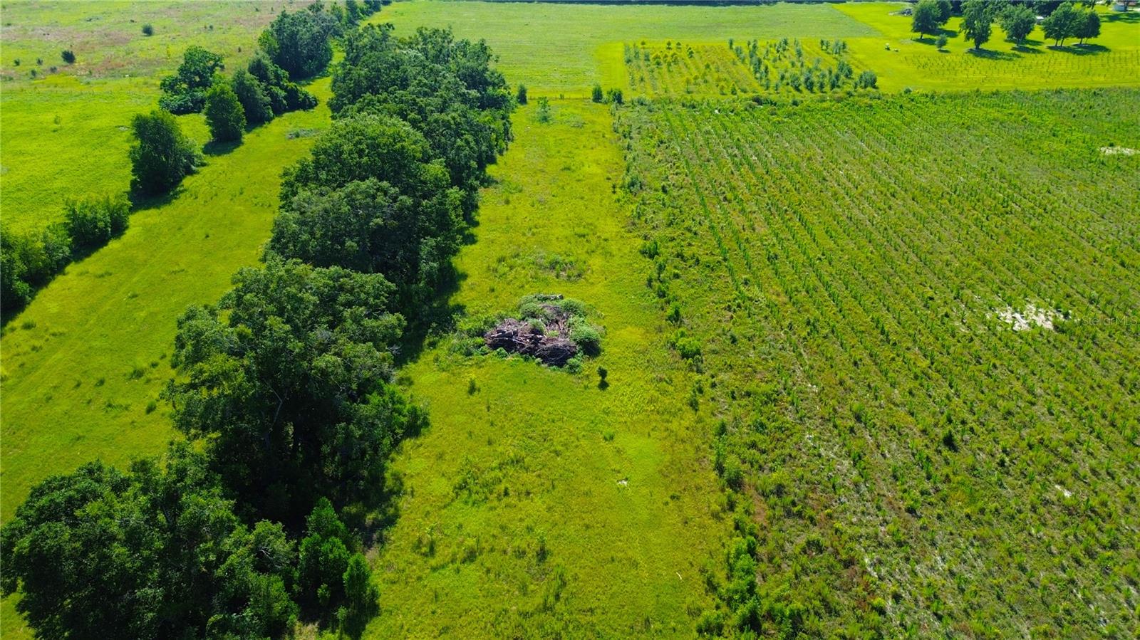 Image 13 of 43 For 2269 County Road 400