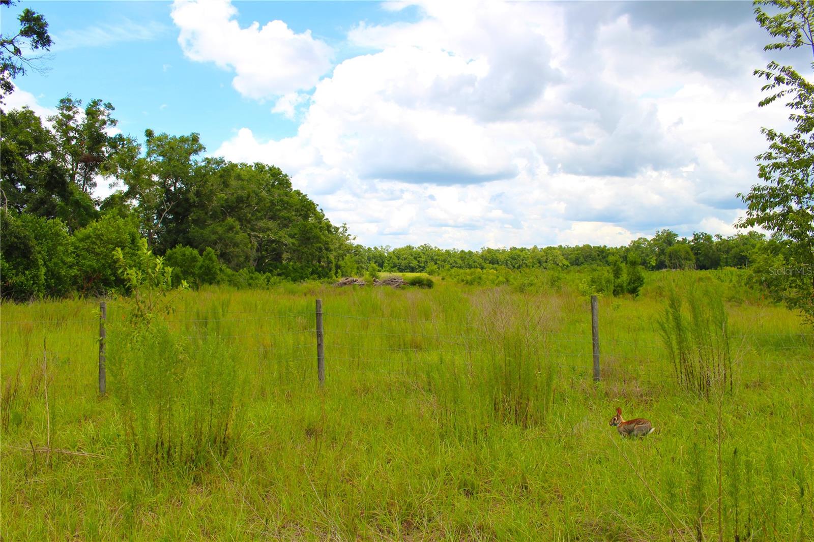 Image 14 of 43 For 2269 County Road 400