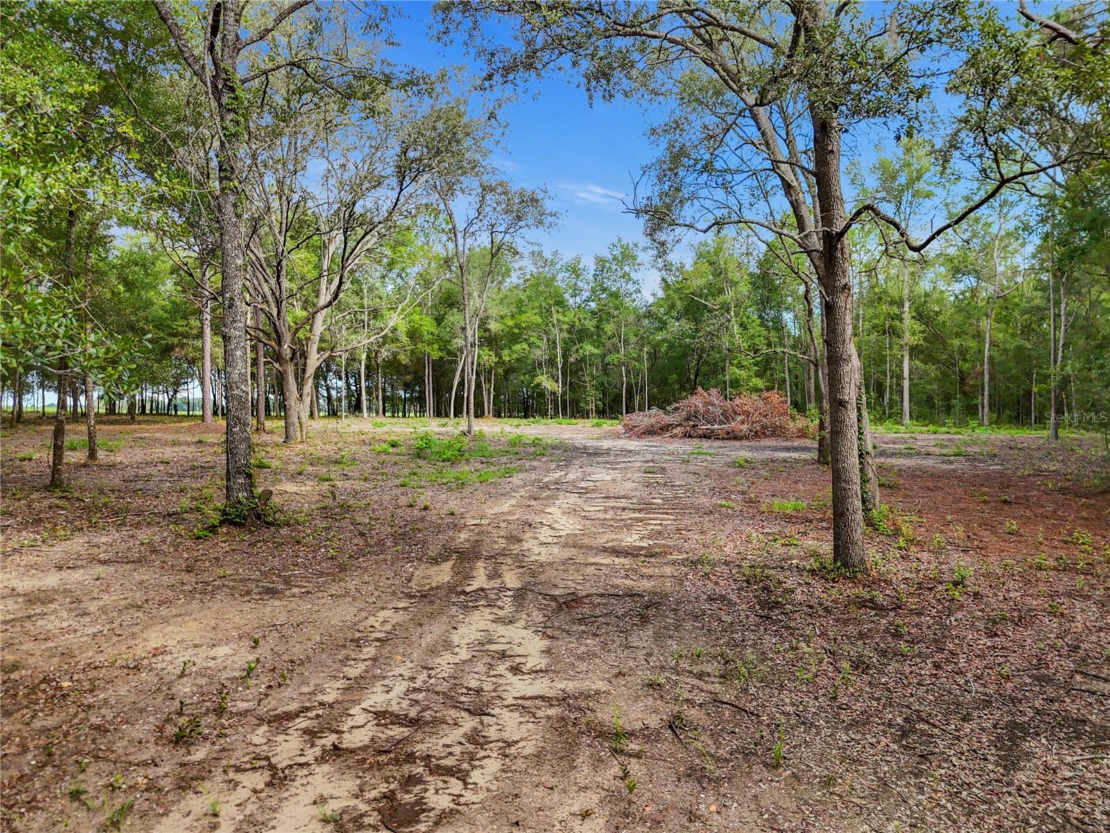 Image 8 of 11 For 9610 118th Terrace