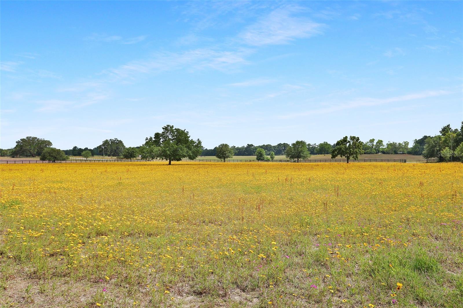 Image 8 of 31 For 2155 Wilson Springs Road