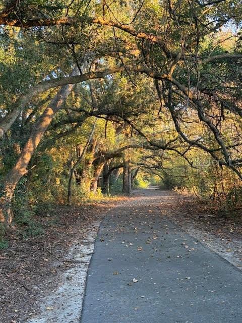 Image 14 of 15 For 19083 21st Place