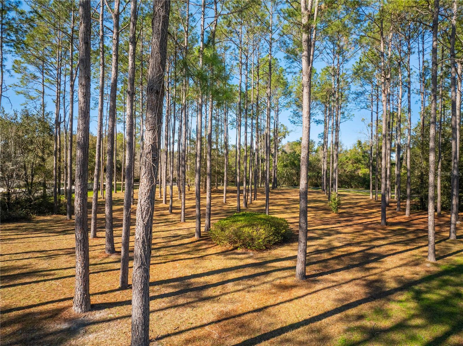 Image 15 of 15 For 19083 21st Place