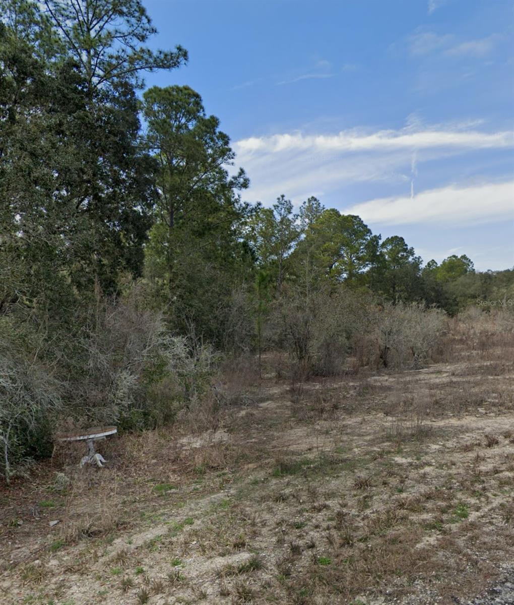 Details for Lot 10 Softstone Drive, WEBSTER, FL 33597