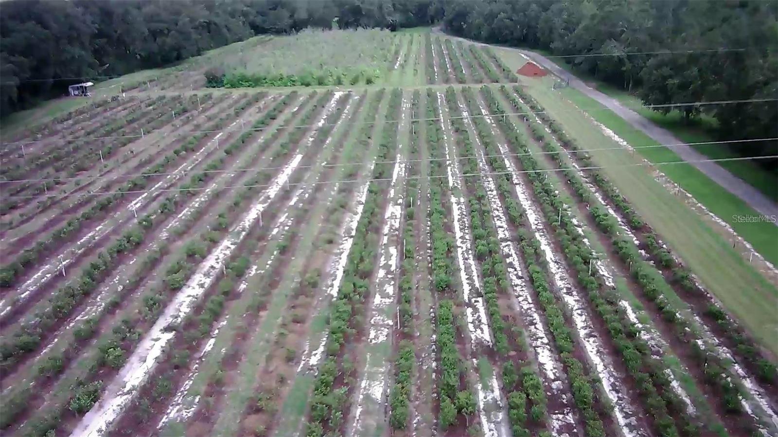 Image 8 of 61 For 8910 County Road 225