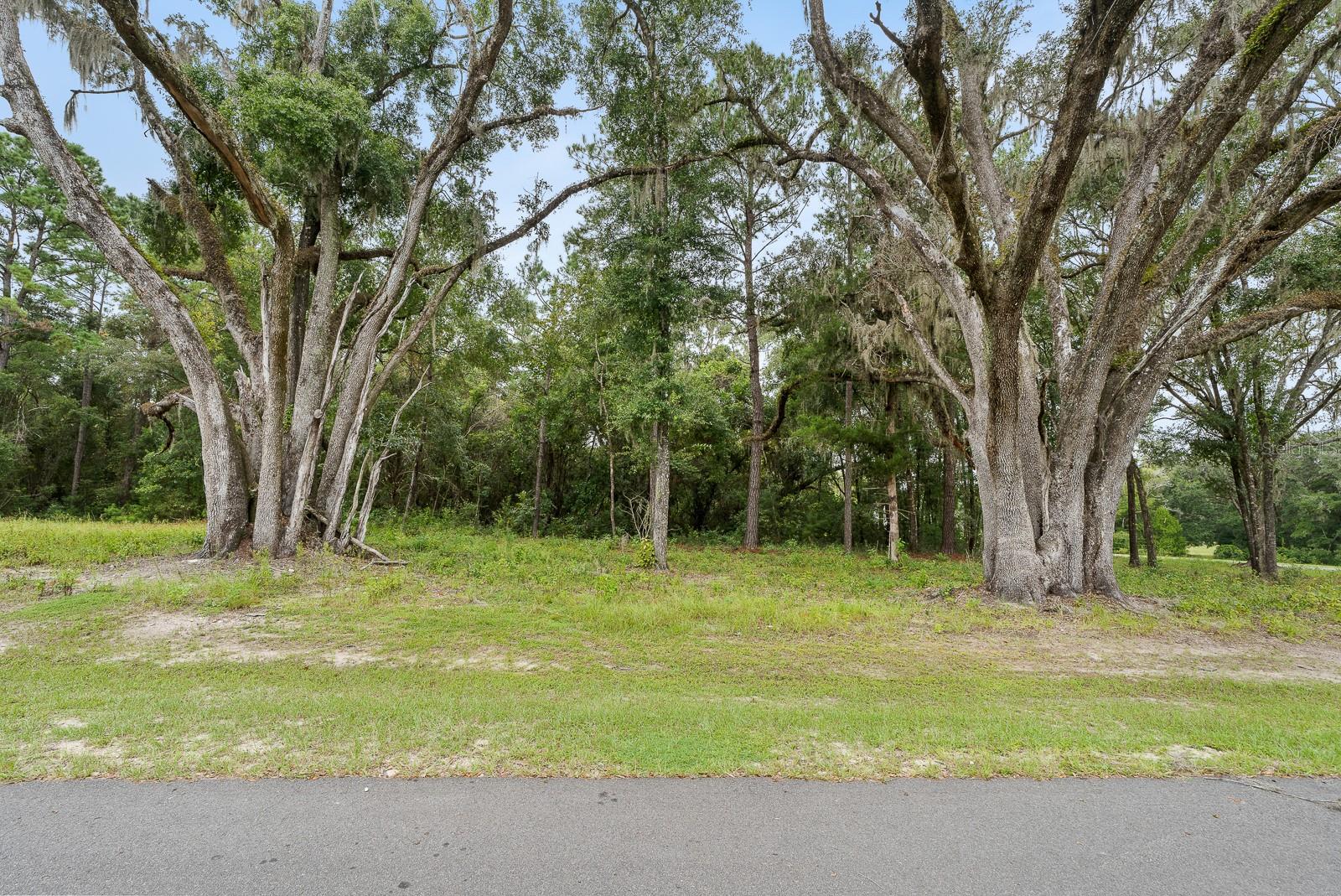 Image 4 of 14 For 17287 11 Court