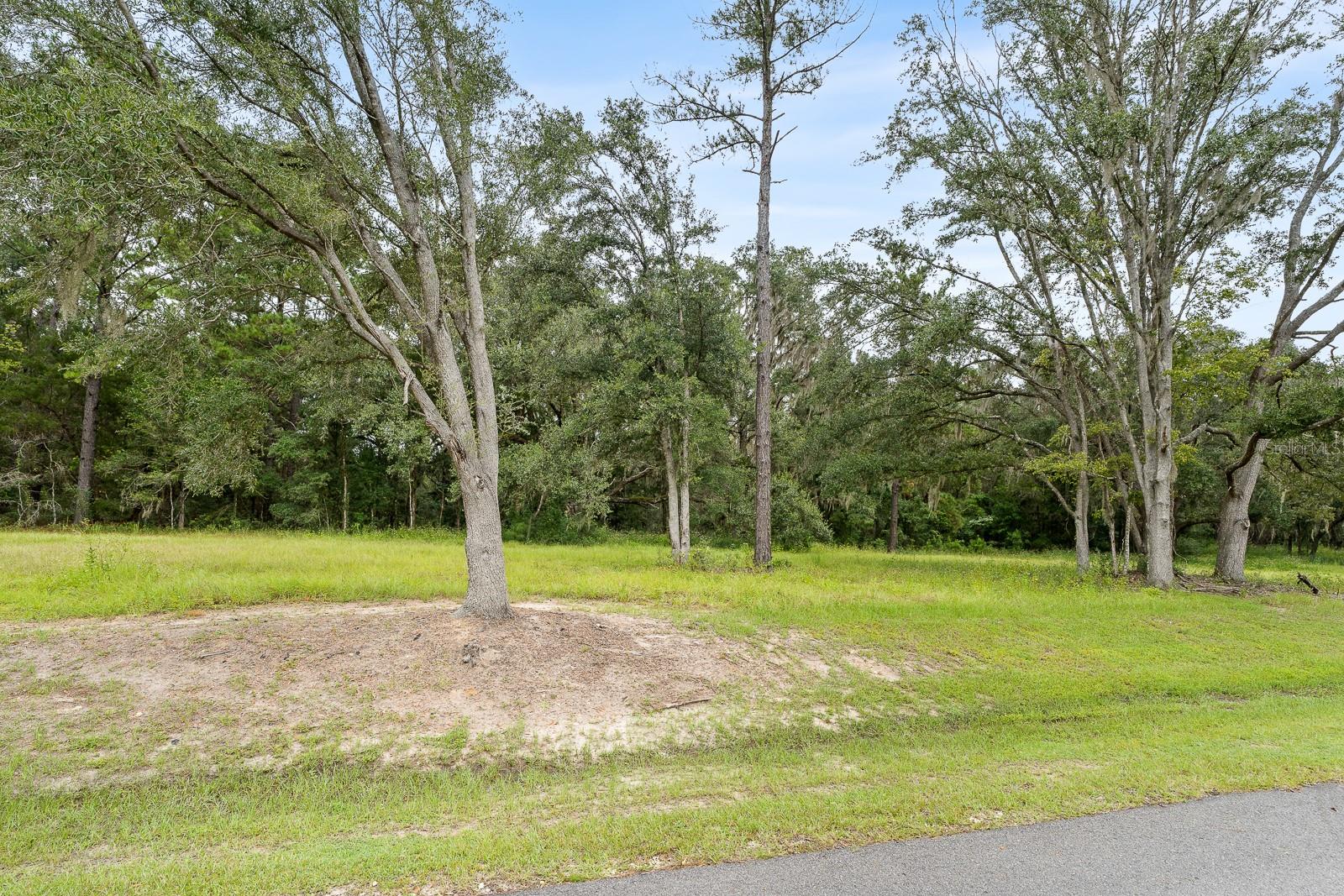 Image 5 of 14 For 17520 11 Court